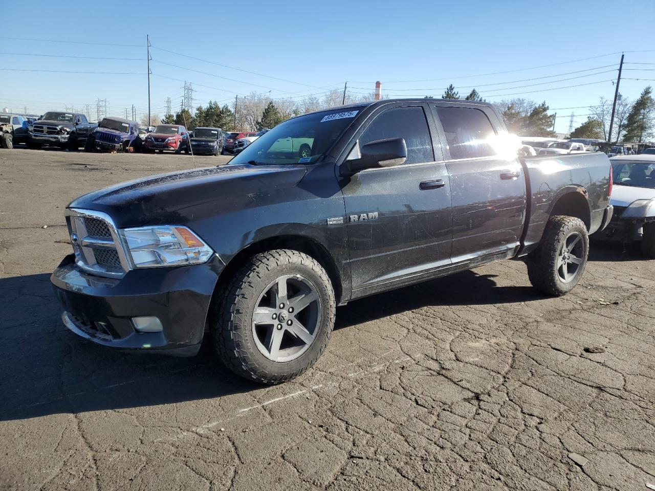 2009 Dodge RAM VIN 1D3HV13T19S702255