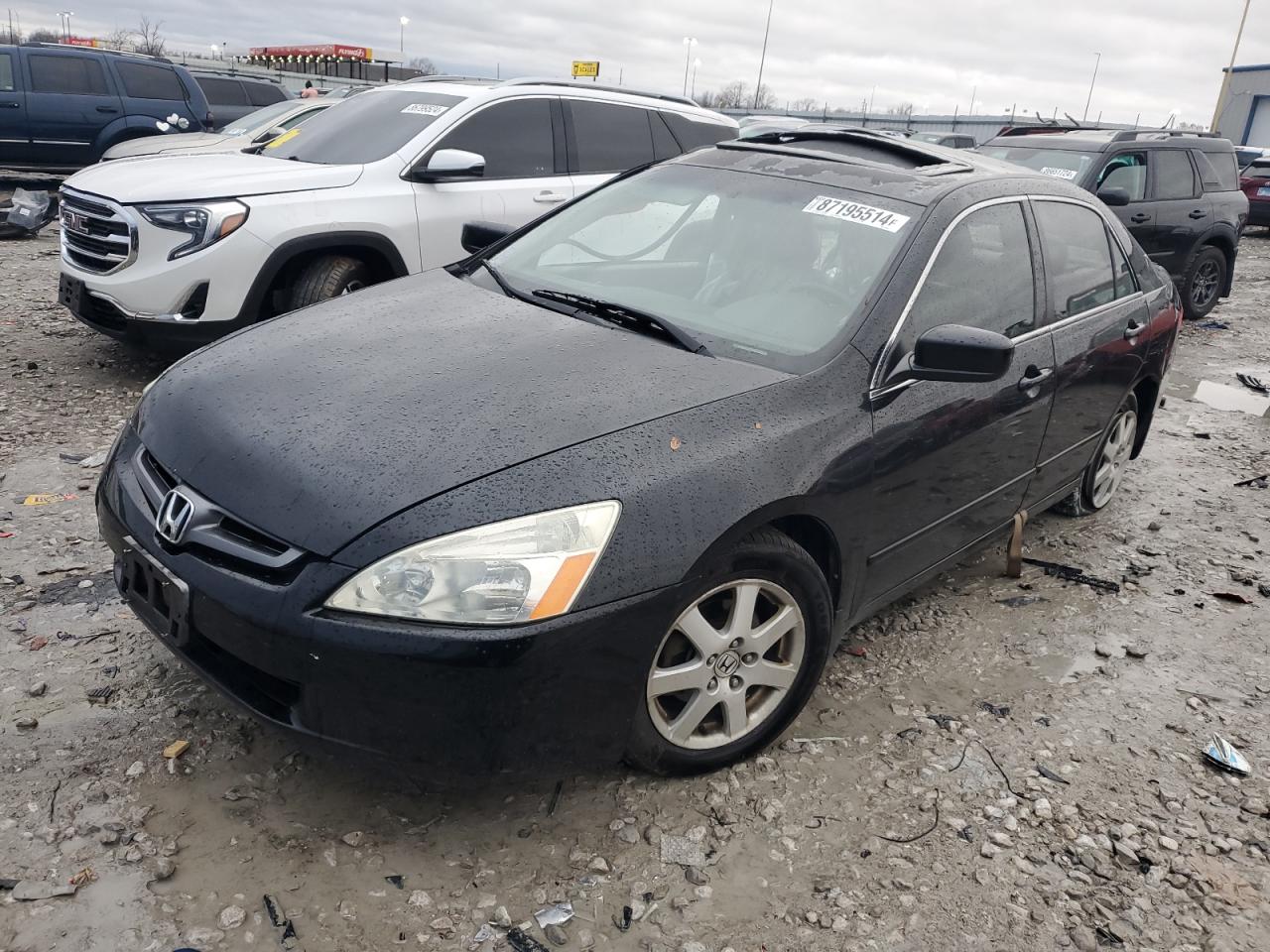2005 Honda Accord VIN 1HGCM66825A031965