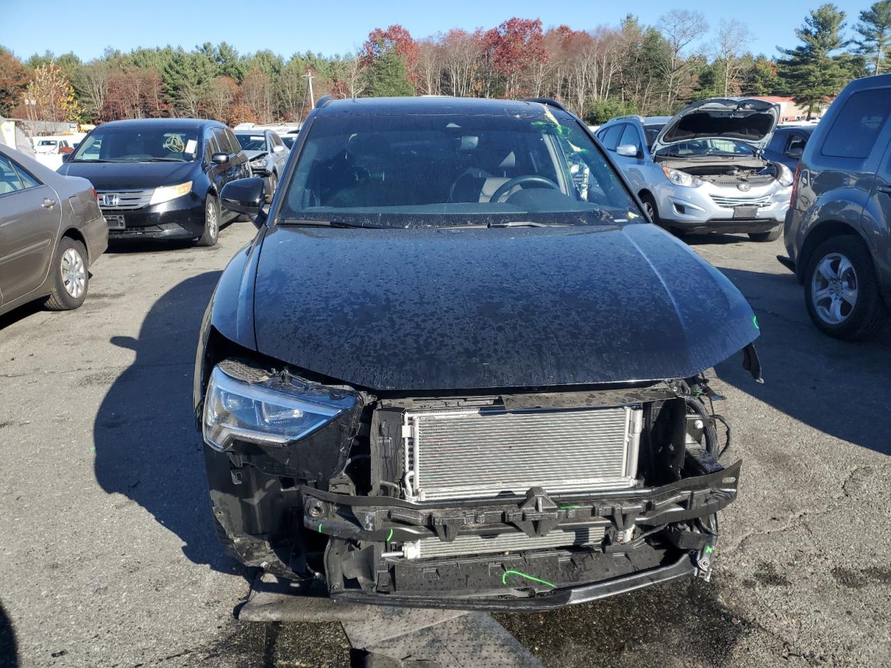 2023 Audi Q3 VIN WA1EECF38P1116331 Copart auction photo, side damage thumbnail 5