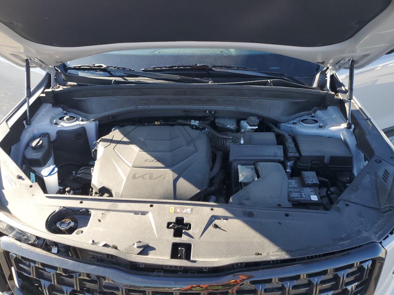 2024 KIA Telluride VIN 5XYP3DGC4RG502630 Copart auction photo, front end damage thumbnail 12