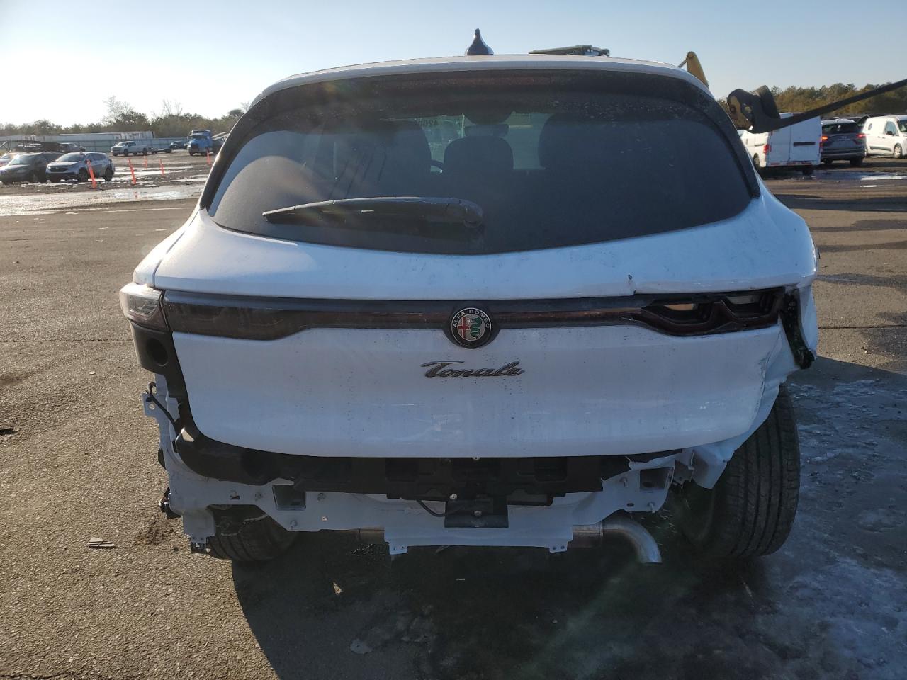 2024 Alfa Romeo Tonale VIN ZASPATCW4R3083736 Copart auction photo, rear end / minor dent/scratches damage thumbnail 6