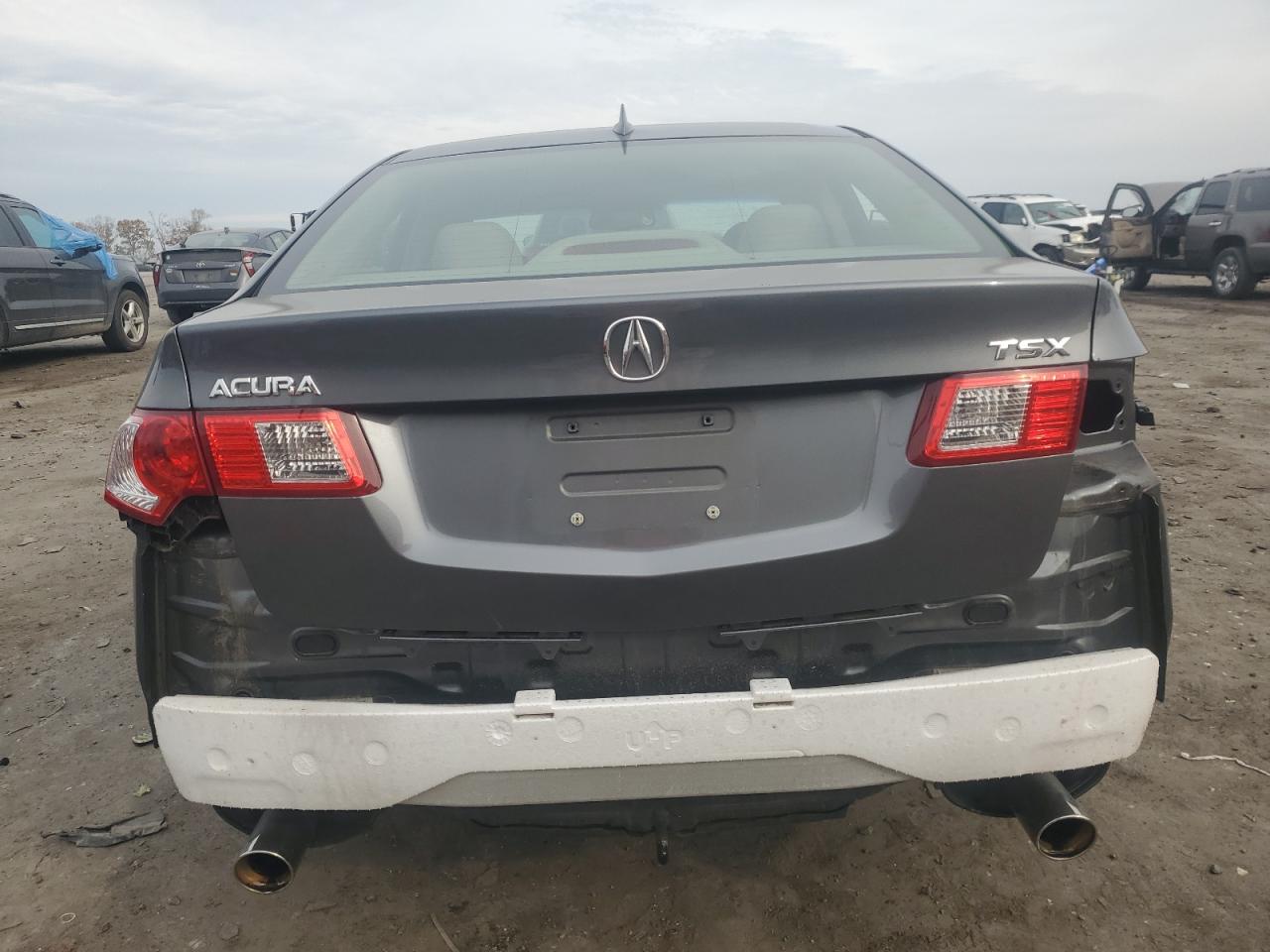 2010 Acura TSX VIN JH4CU2F66AC027047 Copart auction photo, rear end / side damage thumbnail 6