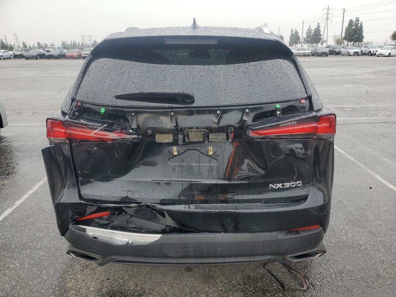 2019 Lexus NX VIN JTJYARBZXK2131585 Copart auction photo, front end / rear end damage thumbnail 6