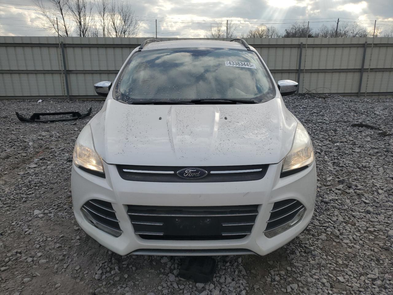 2015 Ford Escape VIN 1FMCU0GX6FUA50449 Copart auction photo, side damage thumbnail 5