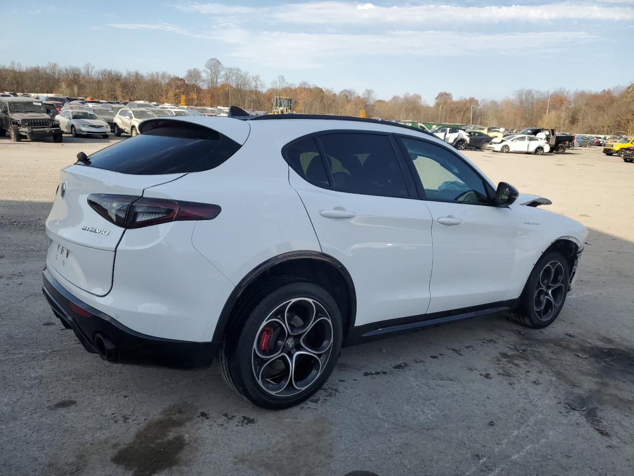 2024 Alfa Romeo Stelvio VIN ZASPAKBN6R7D71708 Copart auction photo, front end damage thumbnail 3