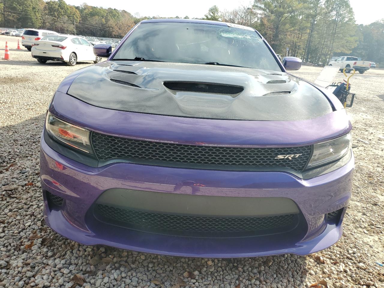 2016 Dodge Charger VIN 2C3CDXL98GH203345 Copart auction photo, vandalism / all over damage thumbnail 5
