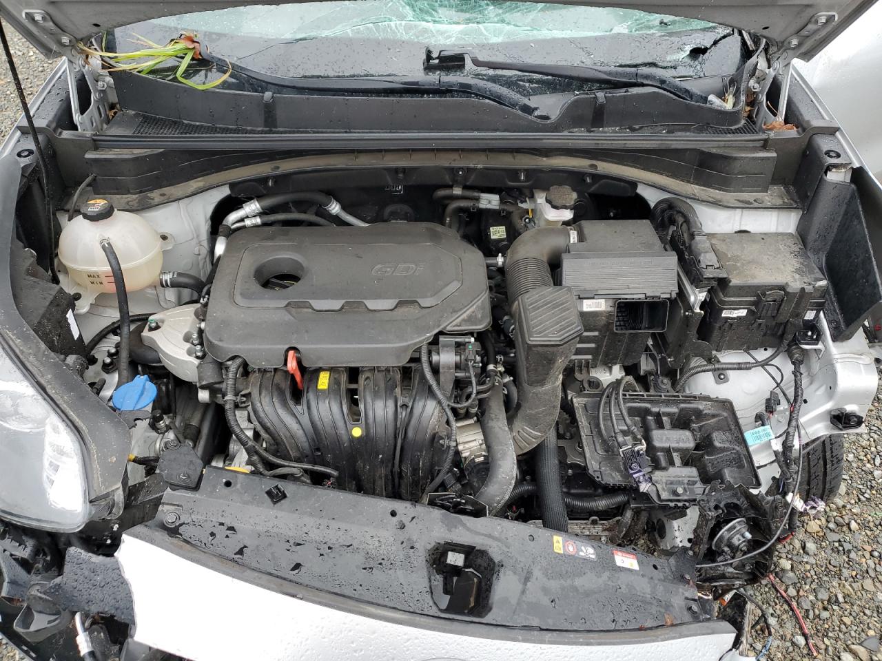 2022 KIA Sportage VIN KNDPMCAC8N7980802 Copart auction photo, all over damage thumbnail 12
