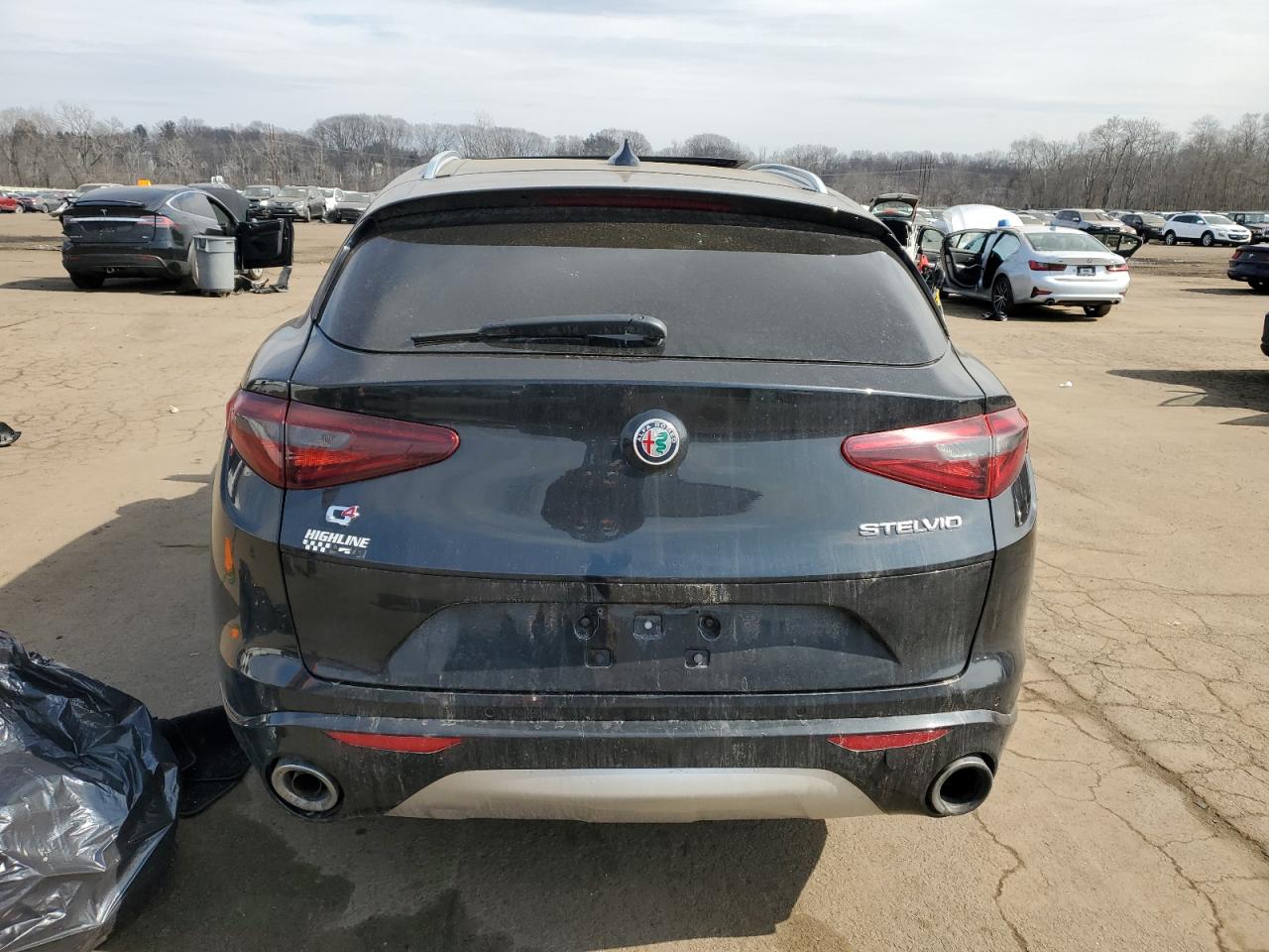 2020 Alfa Romeo Stelvio VIN ZASPAKBN7L7C82737 Copart auction photo, front end / side damage thumbnail 6