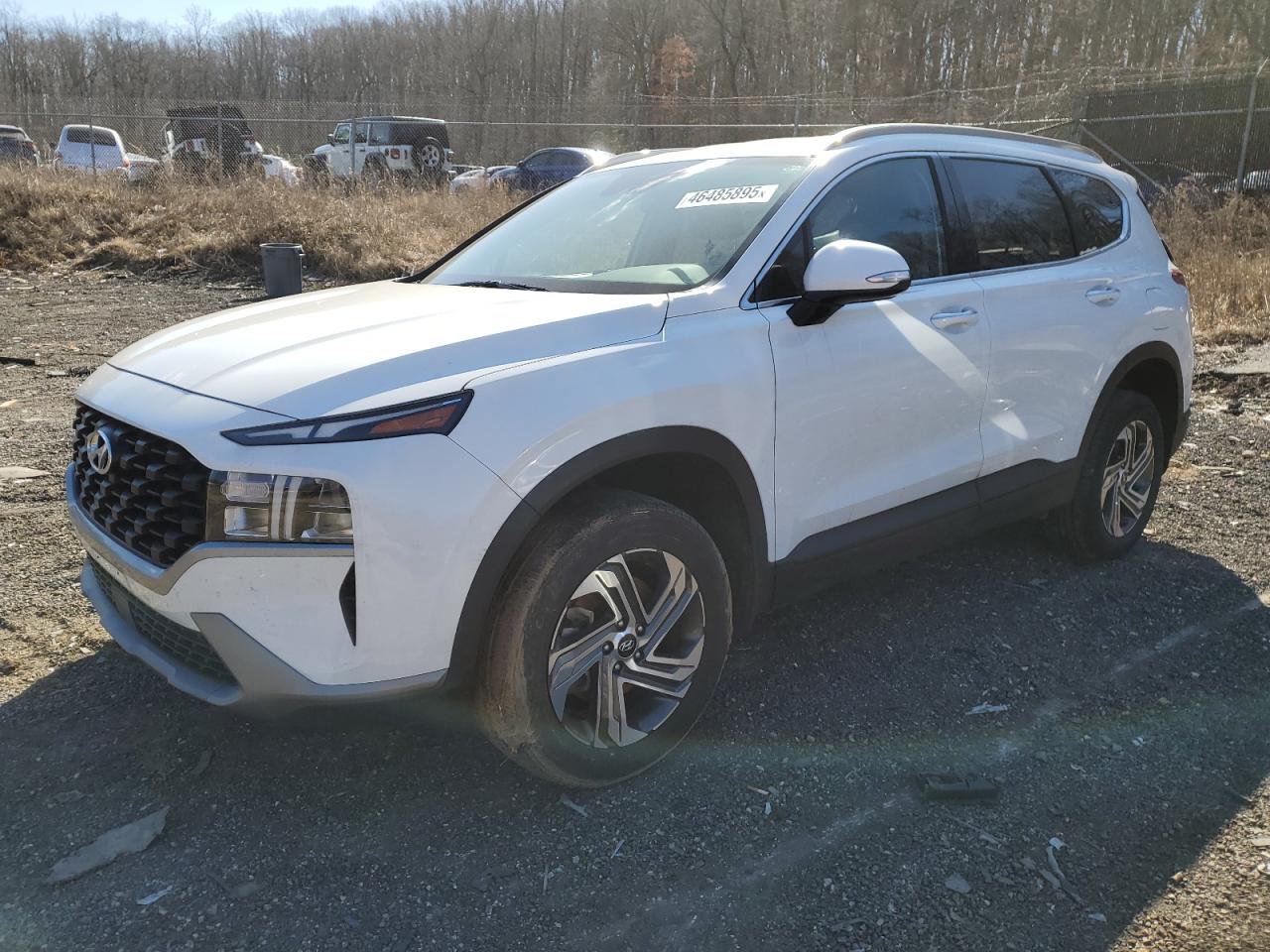 2023 Hyundai Santa Fe VIN 5NMS2DAJ3PH518969