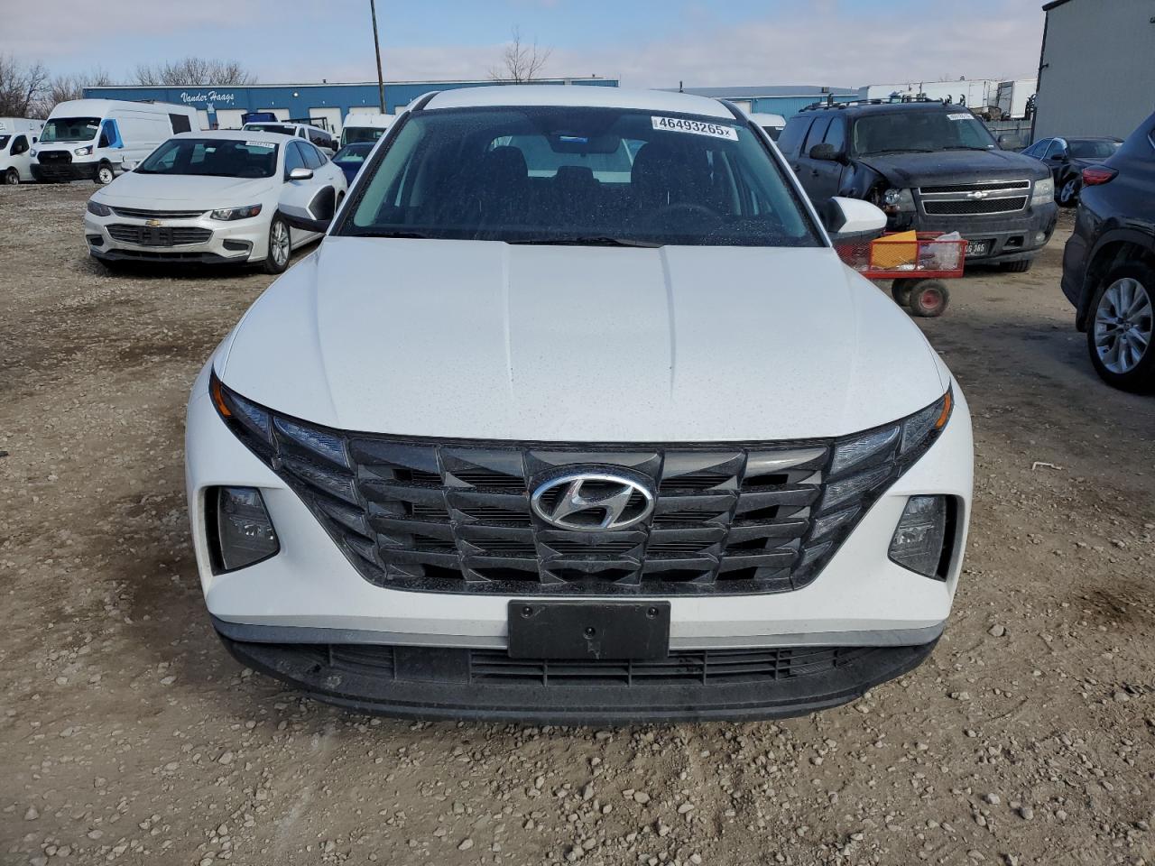 2024 Hyundai Tucson VIN 5NMJA3DEXRH354937 Copart auction photo, side / undercarriage damage thumbnail 5