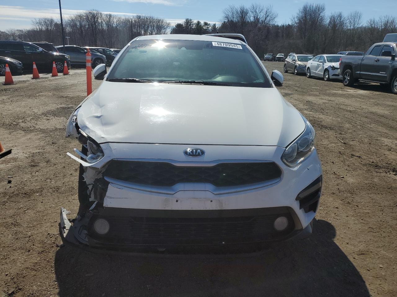 2019 KIA Forte VIN 3KPF24AD3KE074486 Copart auction photo, front end / minor dent/scratches damage thumbnail 5