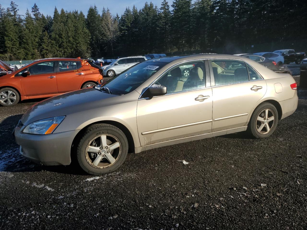 2004 Honda Accord VIN 1HGCM56684A033601