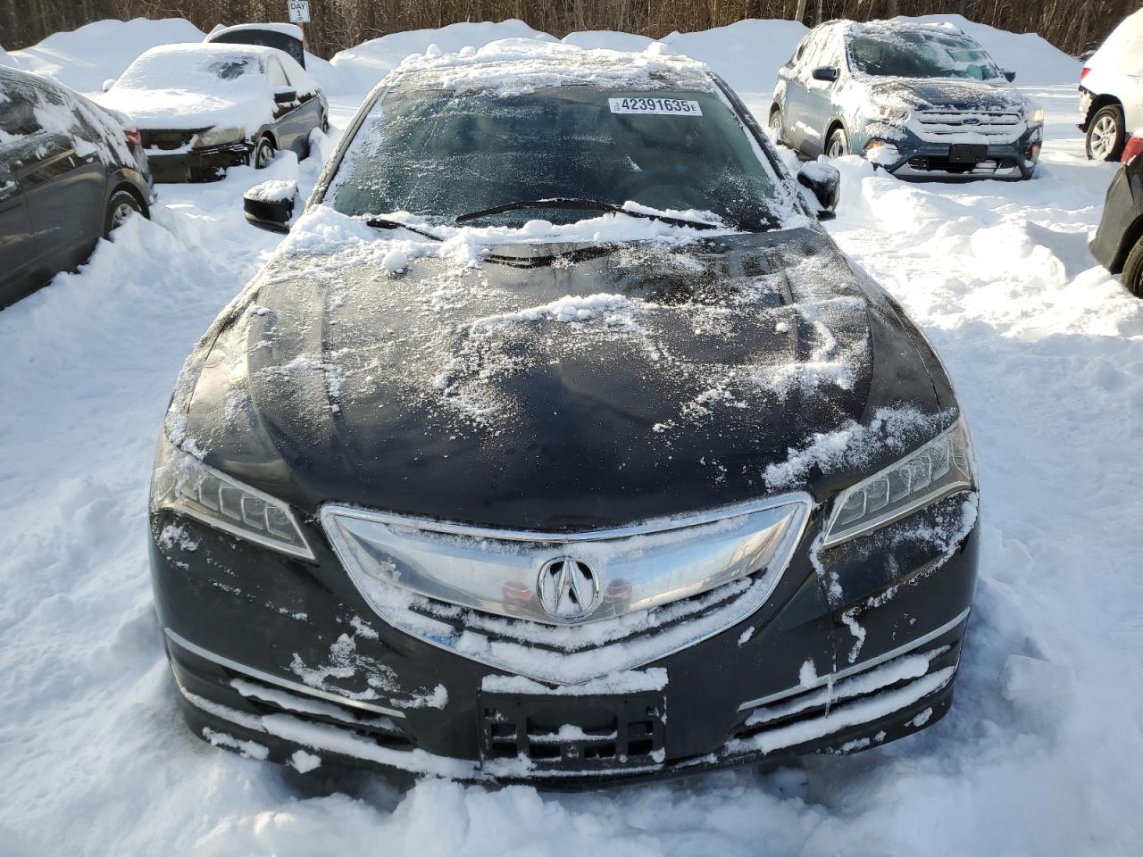 2015 Acura TLX VIN 19UUB1F35FA801501 Copart auction photo, rear end / minor dent/scratches damage thumbnail 5