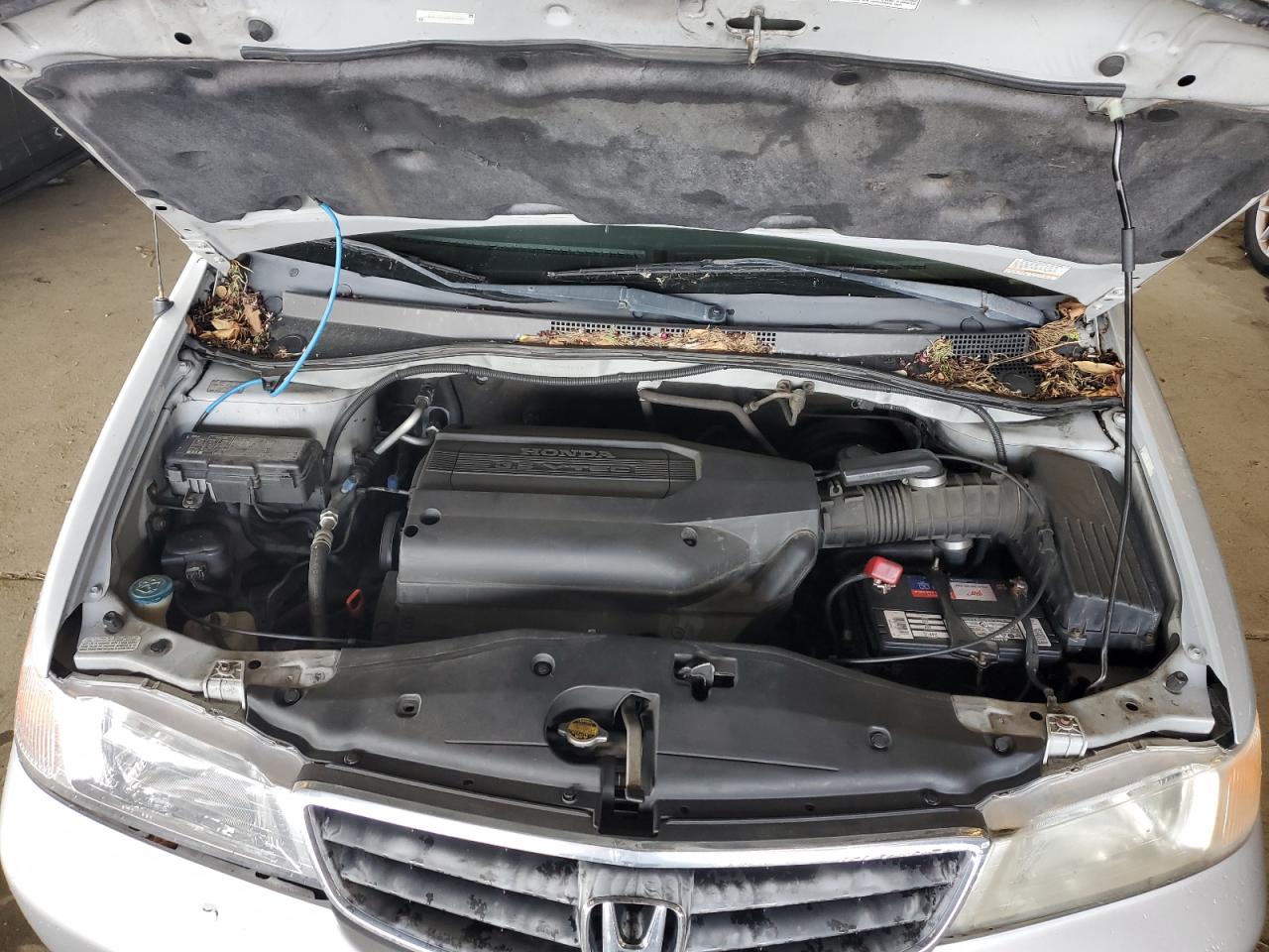 2002 Honda Odyssey VIN 2HKRL18622H501541 Copart auction photo, side / rear end damage thumbnail 12