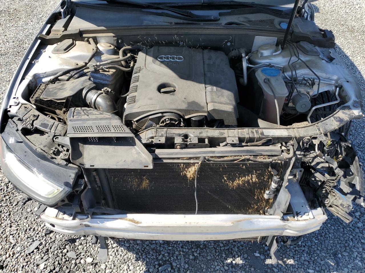 2014 Audi A4 VIN WAUEFAFL3EN006118 Copart auction photo, front end damage thumbnail 12