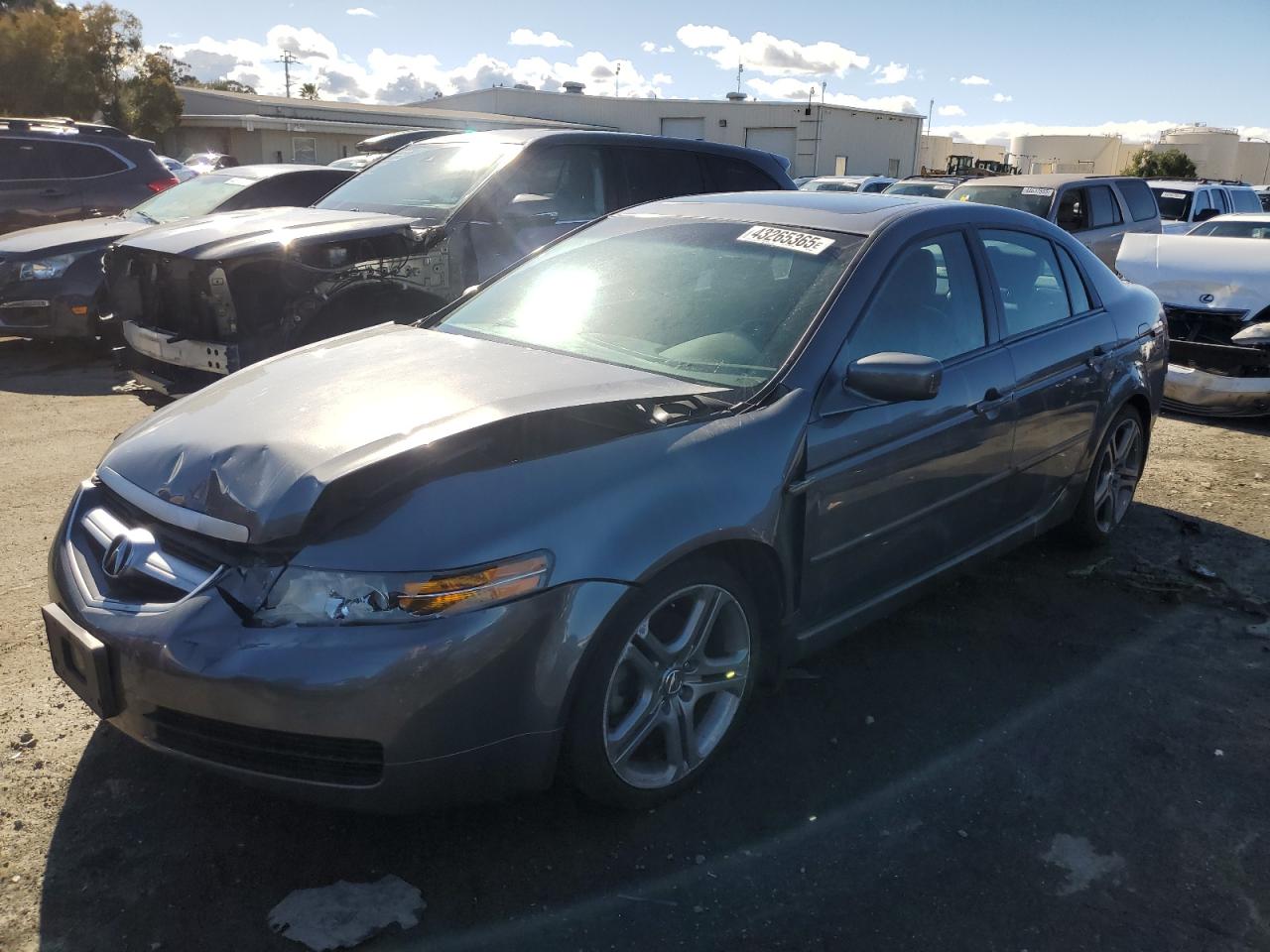 2004 Acura TL VIN 19UUA66204A021099
