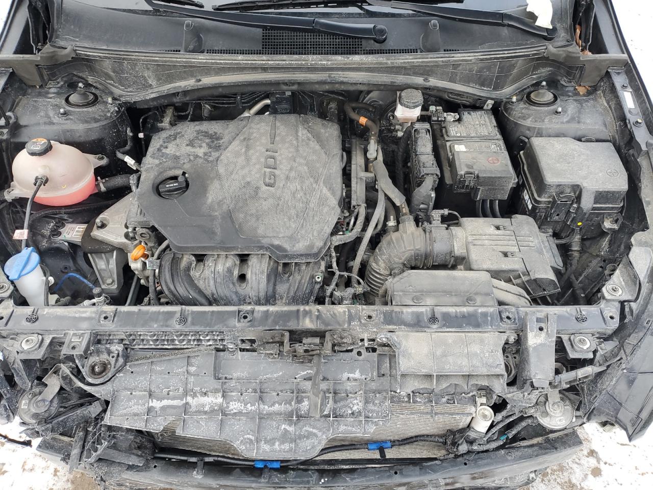 2023 KIA Sportage VIN 5XYK6CAF3PG010988 Copart auction photo, front end / minor dent/scratches damage thumbnail 12