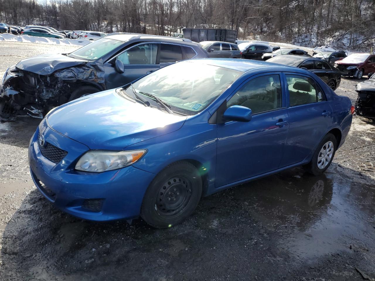 2010 Toyota Corolla VIN 2T1BU4EE6AC409961
