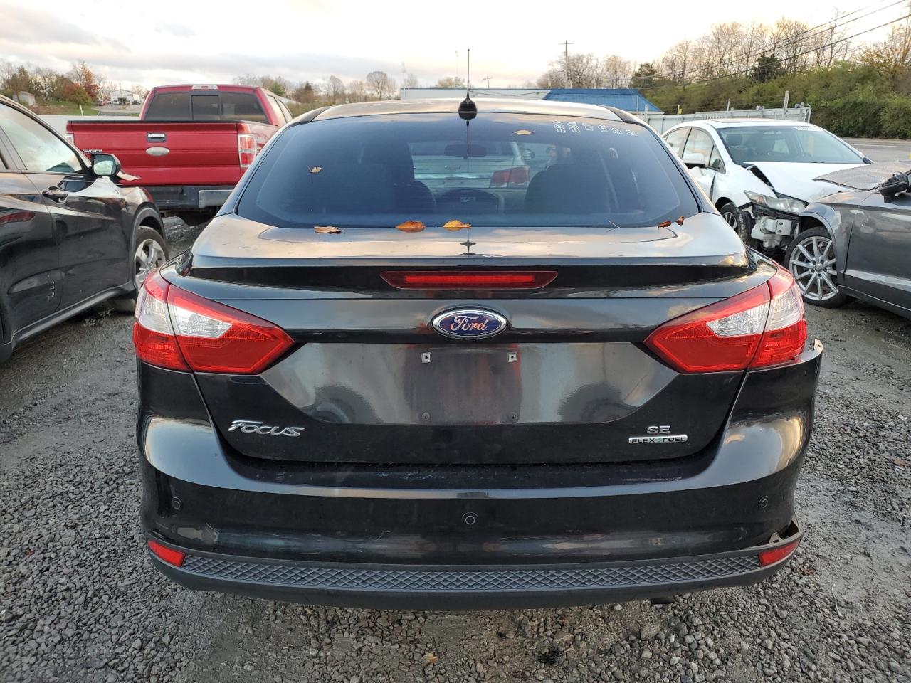 2014 Ford Focus VIN 1FADP3F22EL217391 Copart auction photo, side / rear end damage thumbnail 6