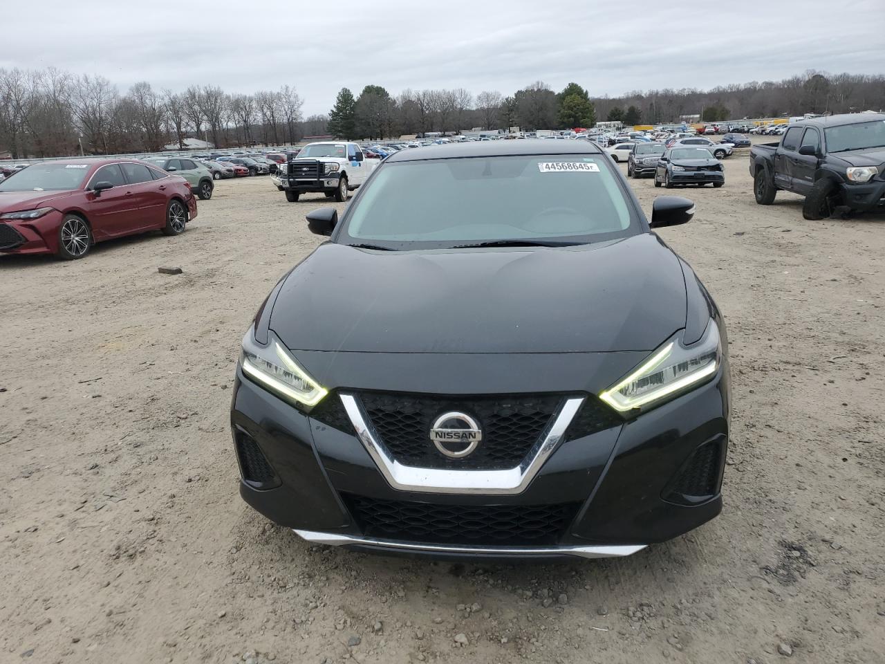 2019 Nissan Maxima VIN 1N4AA6AV6KC368494 Copart auction photo, rear end / minor dent/scratches damage thumbnail 5