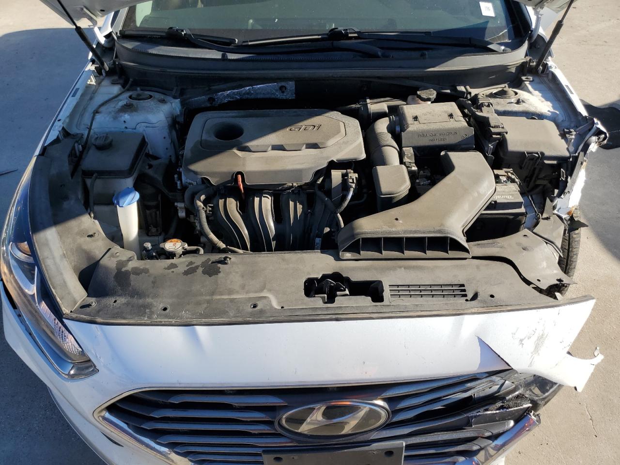 2019 Hyundai Sonata VIN 5NPE24AF6KH748347 Copart auction photo, front end / hail damage thumbnail 13