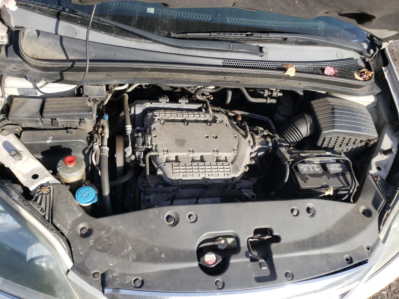 2006 Honda Odyssey VIN 5FNRL38886B000669 Copart auction photo, side damage thumbnail 12