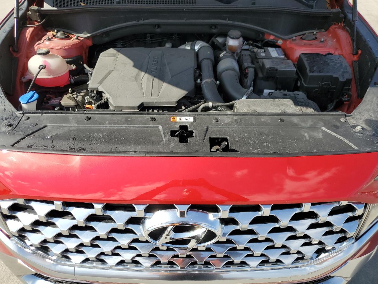 2023 Hyundai Santa Fe VIN 5NMS4DAL8PH528988 Copart auction photo, rear end damage thumbnail 12