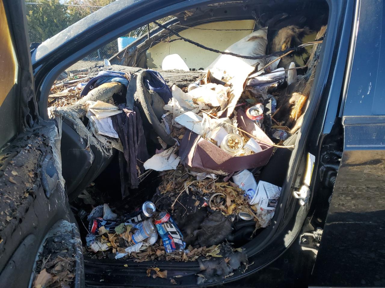 2019 Dodge Journey VIN 3C4PDCBB5KT789657 Copart auction photo, burn - engine / burn - interior damage thumbnail 7