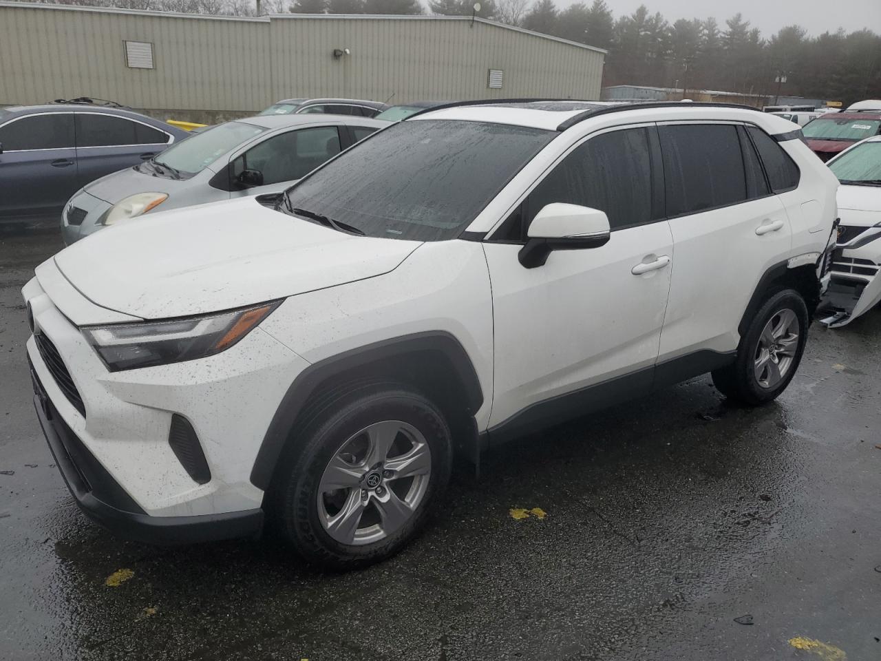 2023 Toyota RAV 4 VIN 2T3P1RFV3PC350068