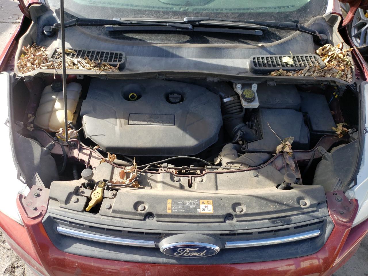 2016 Ford Escape VIN 1FMCU9G9XGUB37763 Copart auction photo, side / hail damage thumbnail 12