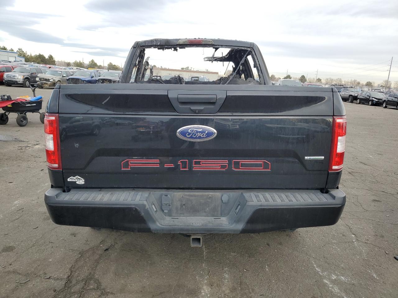 2019 Ford F-150 VIN 1FTEW1EP9KFA12549 Copart auction photo, burn - engine / burn - interior damage thumbnail 6