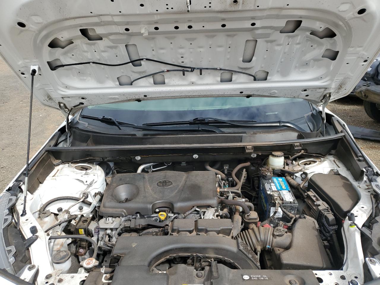 2019 Toyota RAV 4 VIN JTMF1RFV6KD044983 Copart auction photo, front end / side damage thumbnail 12