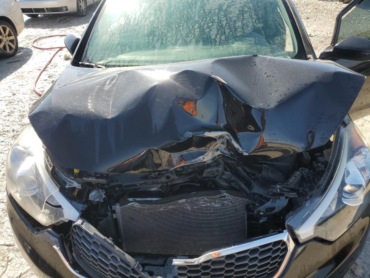 2016 KIA Forte VIN KNAFK4A64G5612145 Copart auction photo, front end damage thumbnail 11