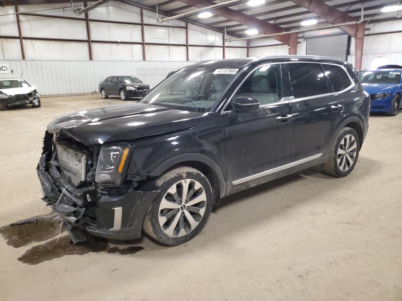 2021 KIA Telluride VIN 5XYP6DHCXMG108659