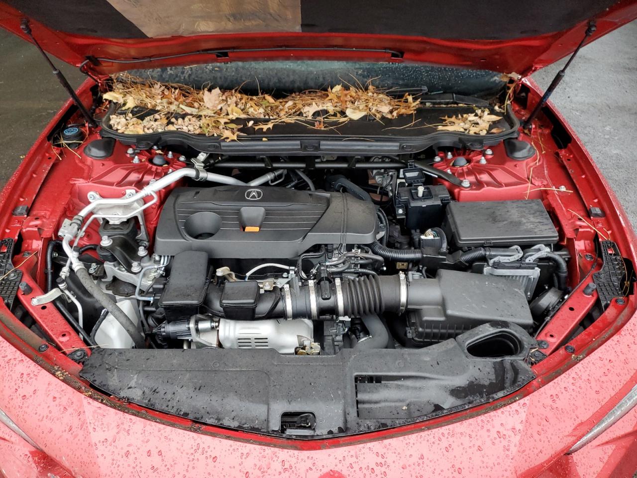 2023 Acura TLX VIN 19UUB6F52PA004008 Copart auction photo, front end / vandalism damage thumbnail 11