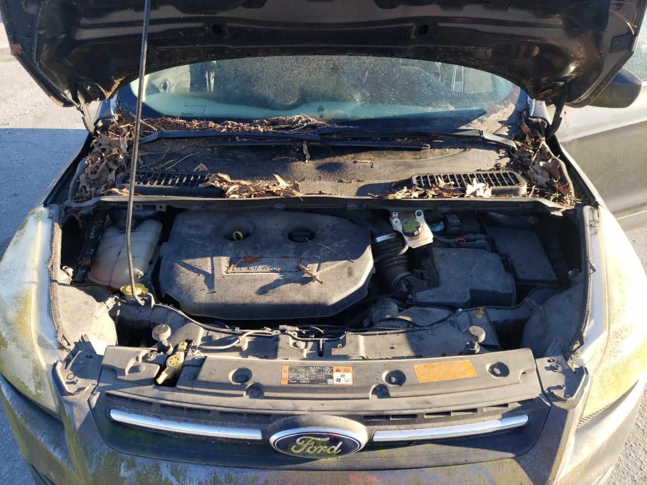 2015 Ford Escape VIN 1FMCU0G91FUB55871 Copart auction photo, mechanical damage thumbnail 12