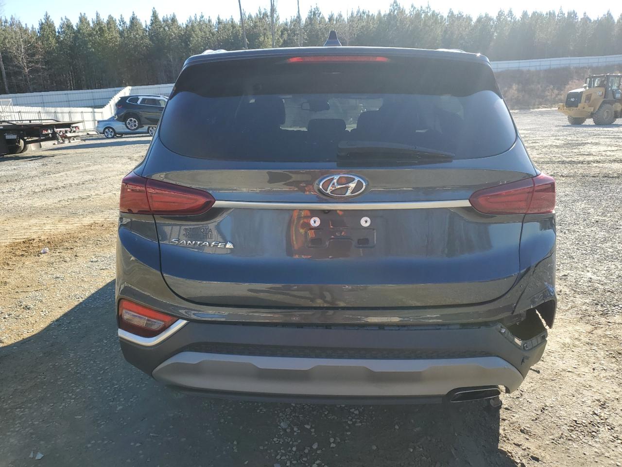 2020 Hyundai Santa Fe VIN 5NMS33AD4LH202136 Copart auction photo, all over damage thumbnail 6