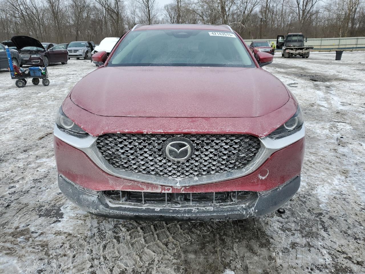 2024 Mazda CX-30 VIN 3MVDMBCM8RM663079 Copart auction photo, front end / side damage thumbnail 5