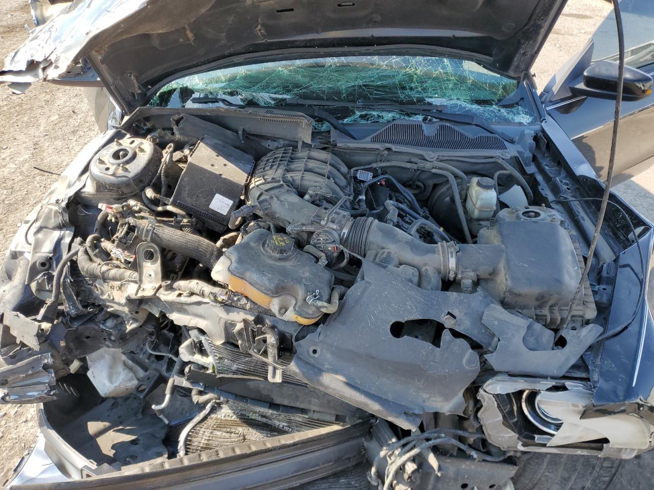 2014 Ford Mustang VIN 1ZVBP8AM9E5256214 Copart auction photo, front end / side damage thumbnail 12