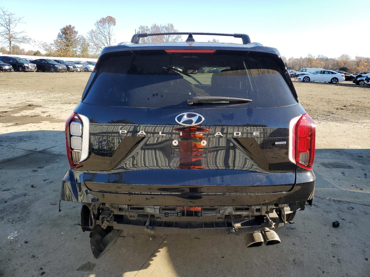 2020 Hyundai Palisade VIN KM8R5DHE8LU169417 Copart auction photo, front end / rear end damage thumbnail 6