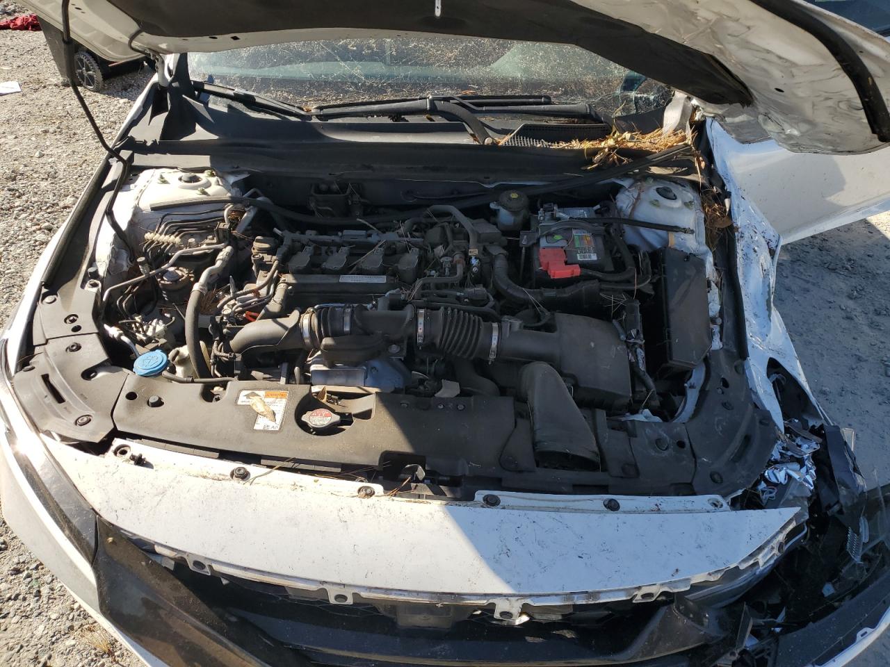 2020 Honda Accord VIN 1HGCV1F36LA014281 Copart auction photo, front end / rear end damage thumbnail 11
