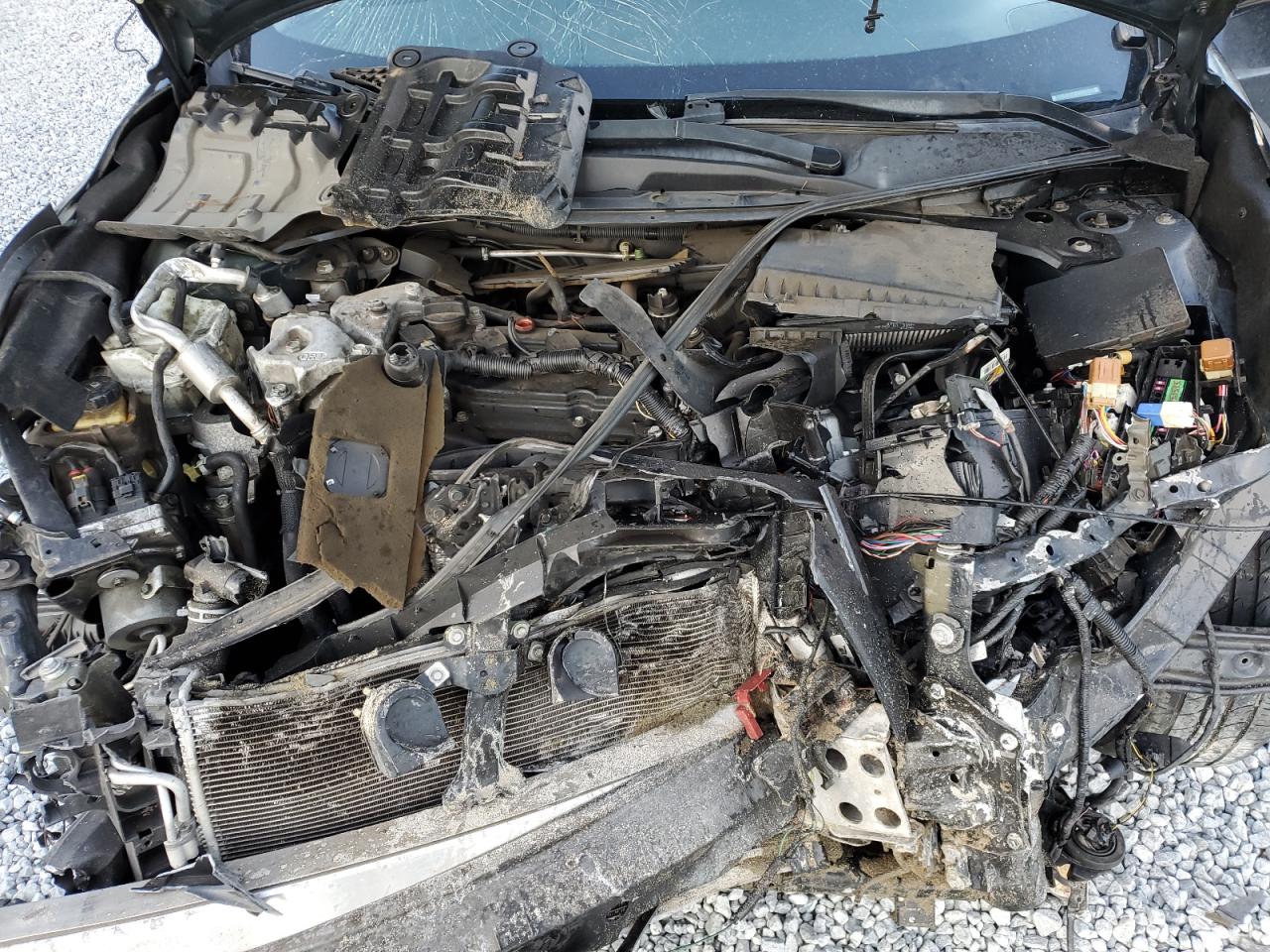 2014 Nissan Altima VIN 1N4AL3AP8EC277242 Copart auction photo, front end / minor dent/scratches damage thumbnail 12