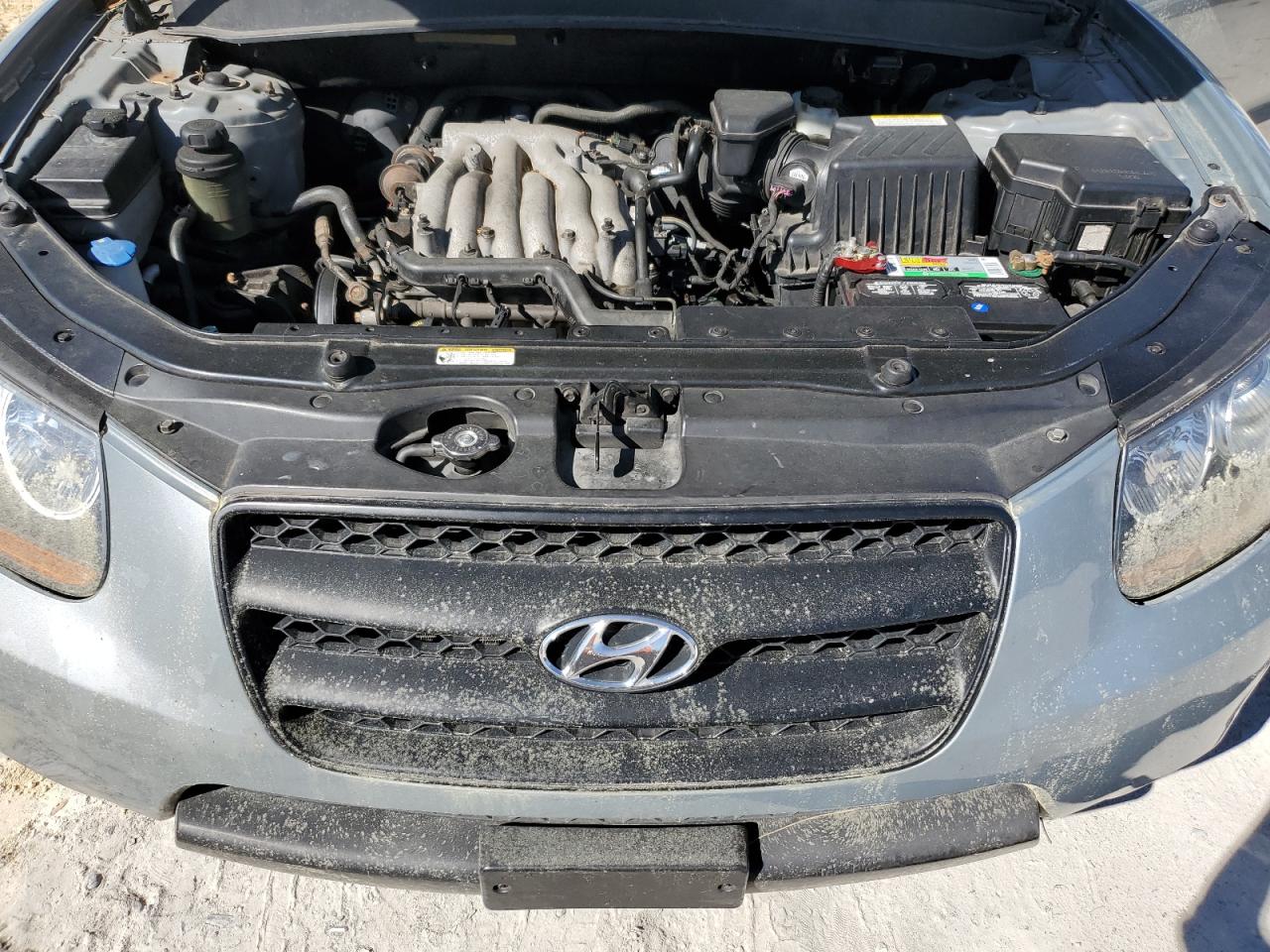2009 Hyundai Santa Fe VIN 5NMSG13D29H257957 Copart auction photo, normal wear damage thumbnail 11