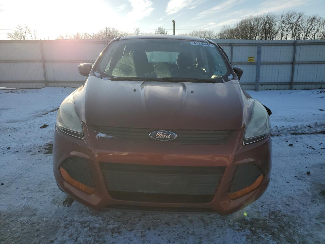 2014 Ford Escape VIN 1FMCU0F74EUB04377 Copart auction photo, front end damage thumbnail 5