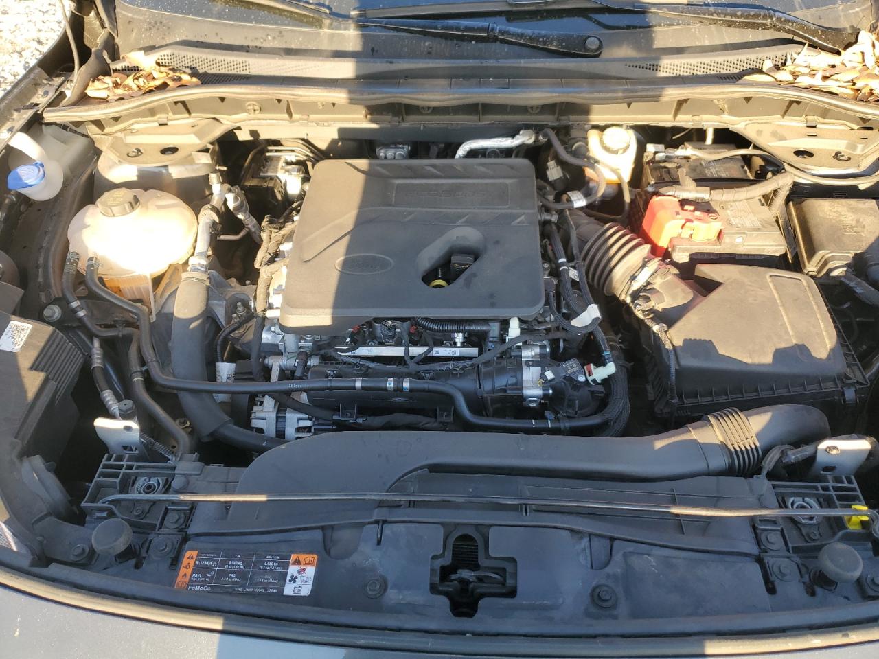 2020 Ford Escape VIN 1FMCU0H69LUC24595 Copart auction photo, side damage thumbnail 12
