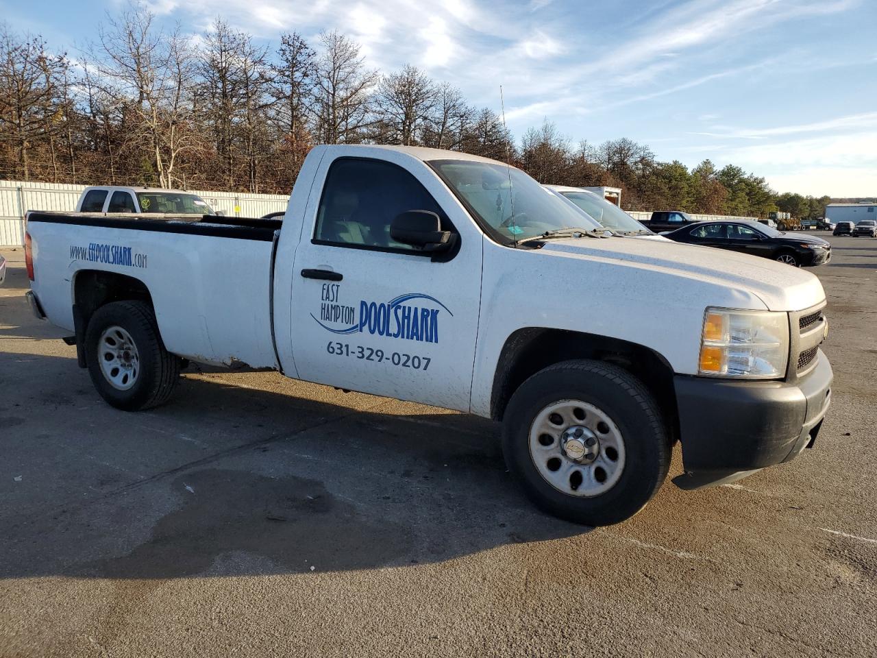 2010 Chevrolet Silverado VIN 1GCPKPEX2AZ244690 Copart auction photo, minor dent/scratches / normal wear damage thumbnail 4