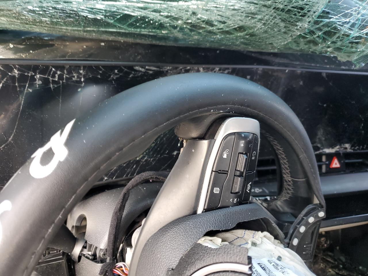 2024 KIA Sportage VIN 5XYK33DF8RG189987 Copart auction photo, rollover damage thumbnail 9
