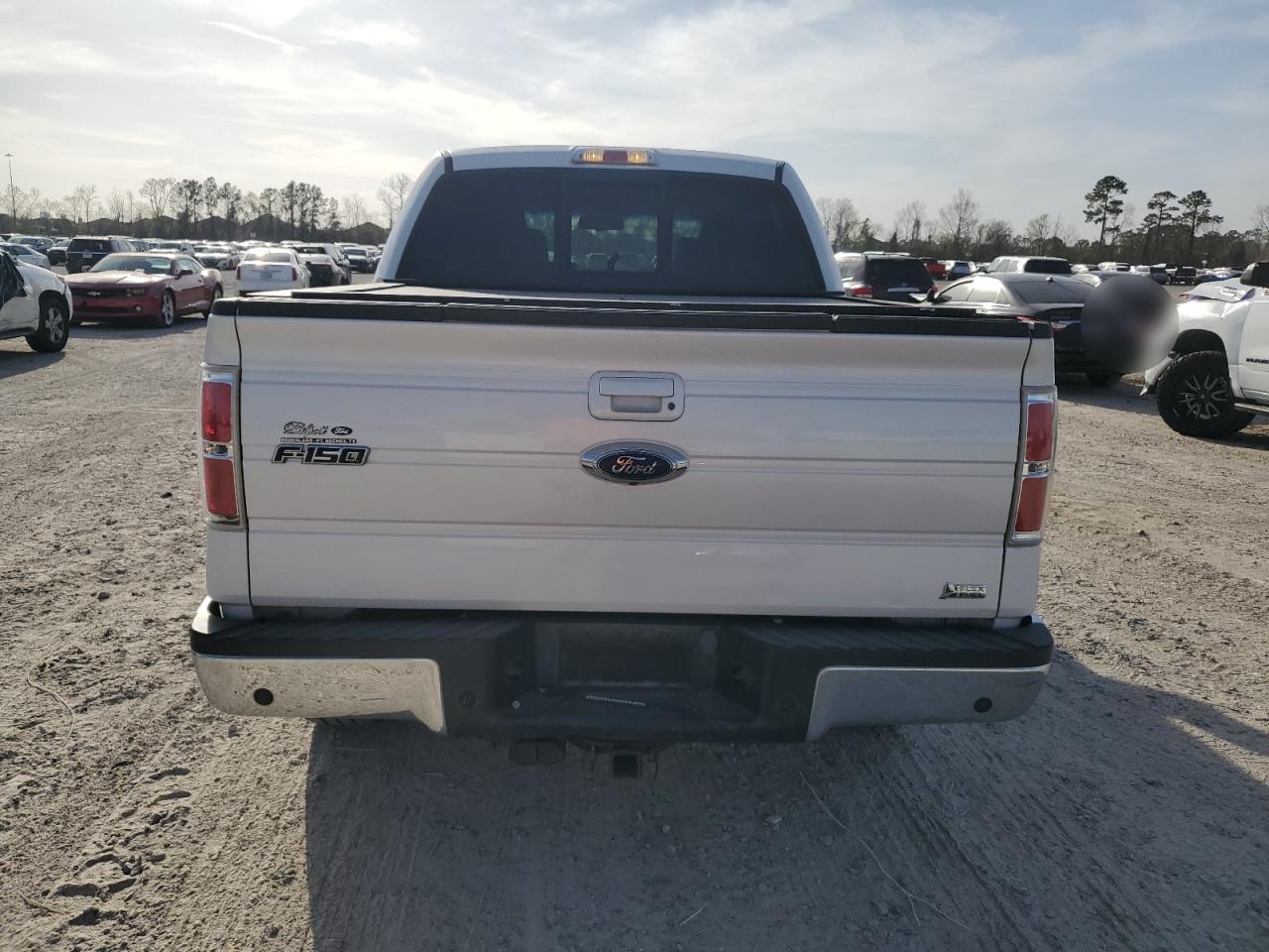 2010 Ford F-150 VIN 1FTFW1EV8AFB86307 Copart auction photo, side / minor dent/scratches damage thumbnail 6