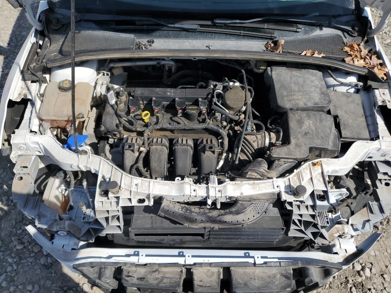 2014 Ford Focus VIN 1FADP3F2XEL302009 Copart auction photo, front end damage thumbnail 11