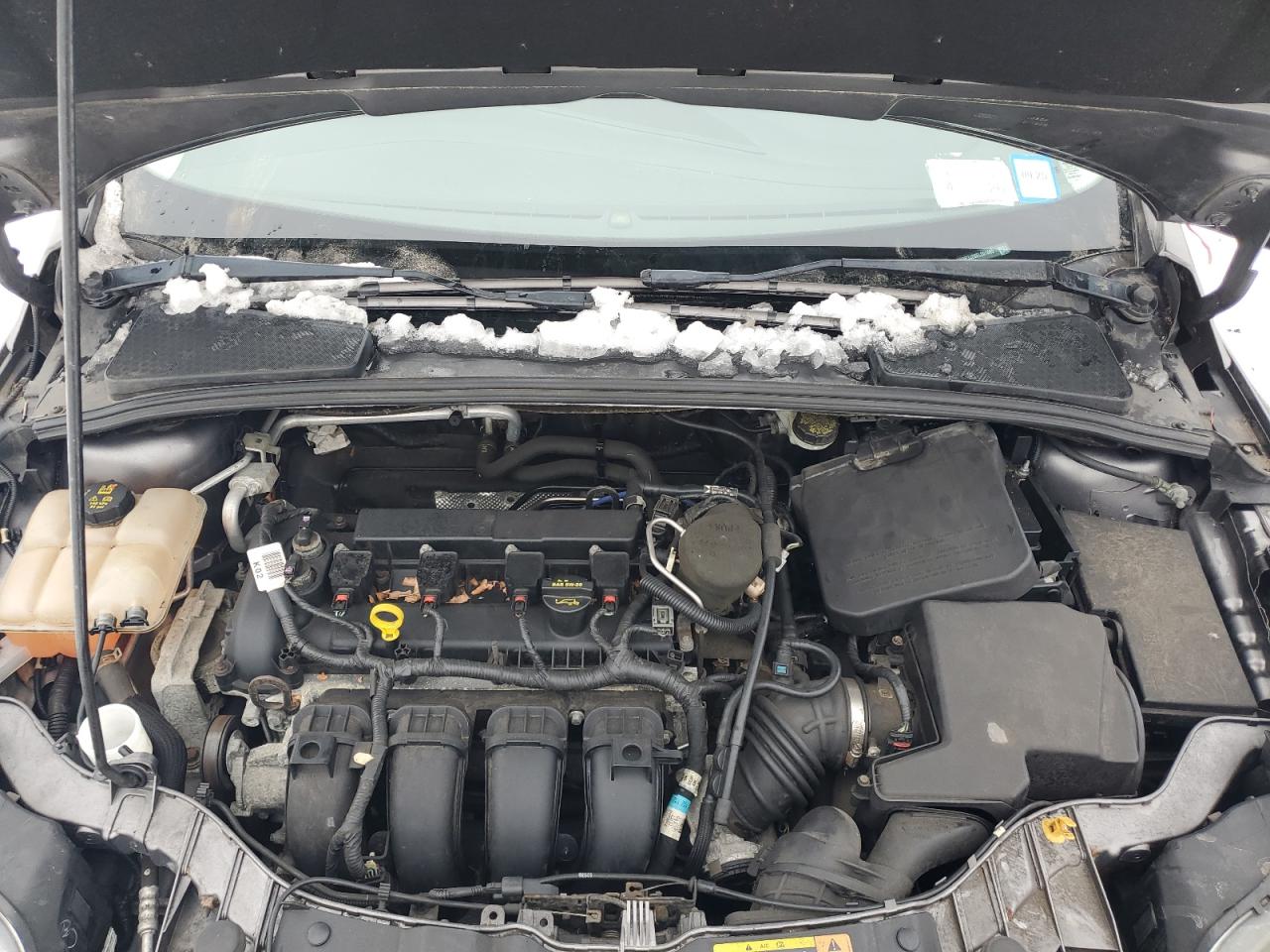 2014 Ford Focus VIN 1FADP3J28EL201865 Copart auction photo, rear end damage thumbnail 11